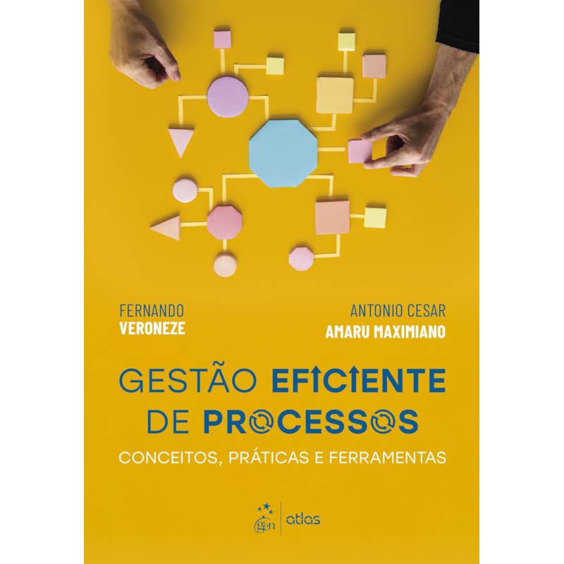 GESTÃO EFICIENTE DE PROCESSOS