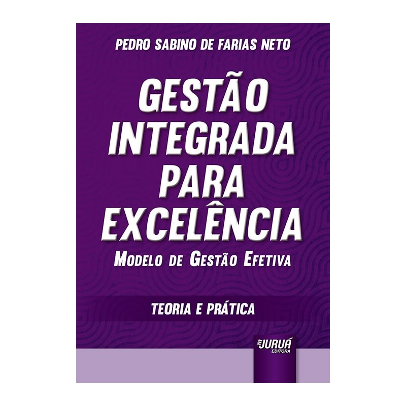 GESTÃO INTEGRADA PARA EXCELÊNCIA - MODELO DE GESTÃO EFETIVA - TEORIA E PRÁTICA
