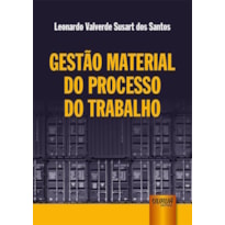 GESTÃO MATERIAL DO PROCESSO DO TRABALHO