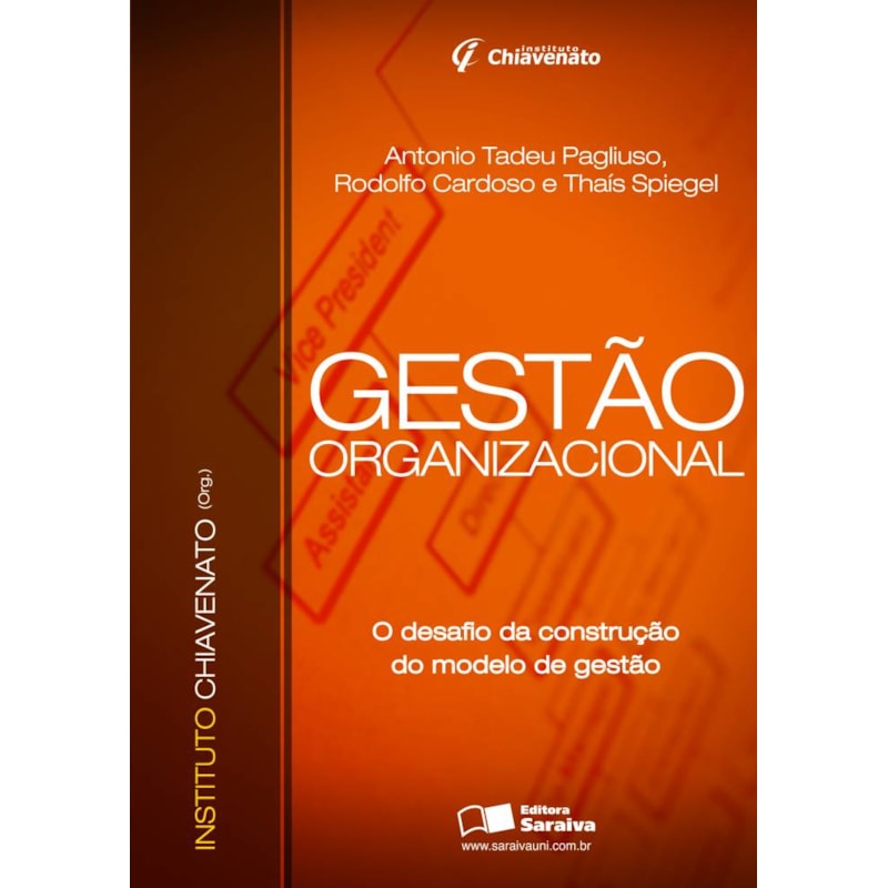 GESTÃO ORGANIZACIONAL: O DESAFIO DA CONSTRUÇÃO DO MODELO DE GESTÃO