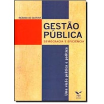 GESTAO PUBLICA DEMOCRACIA E EFICIENCIA - UMA VISAO PRATICA E POLITICA