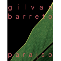 GILVAN BARRETO: PARAISO