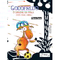 GODOFREDO: O CRAQUE DA BOLA
