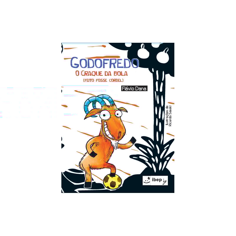 GODOFREDO: O CRAQUE DA BOLA