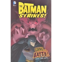 GOING...BATTY! - THE BATMAN STRIKES!