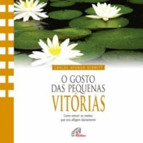 GOSTO DAS PEQUENAS VITORIAS (O) - CARLOS AFONSO SCHMITT
