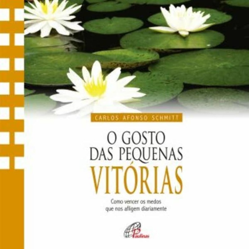 GOSTO DAS PEQUENAS VITORIAS (O) - CARLOS AFONSO SCHMITT