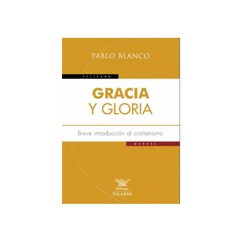 GRACIA Y GLORIA: BREVE INTRODUCCION AL CRISTIANISMO
