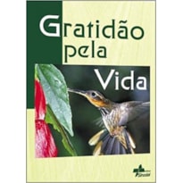 GRATIDAO PELA VIDA - 1ª