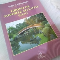 GRUPO DE SUPORTE AO LUTO - GSUL - 1