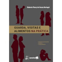 GUARDA, VISITAS E ALIMENTOS NA PRÁTICA - 1ª EDIÇÃO 2026