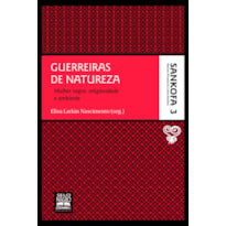 GUERREIRAS DE NATUREZA - COLEÇÃO SANKOFA - VOLUME 3: MULHER NEGRA, RELIGIOSIDADE E AMBIENTE