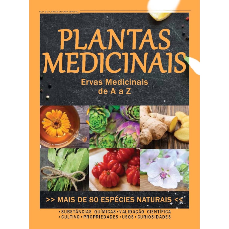 GUIA DE PLANTAS EM CASA - ESPECIAL