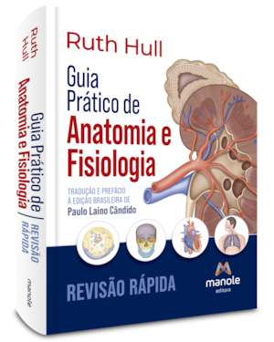 Guia prático de anatomia e fisiologia: revisão rápida
