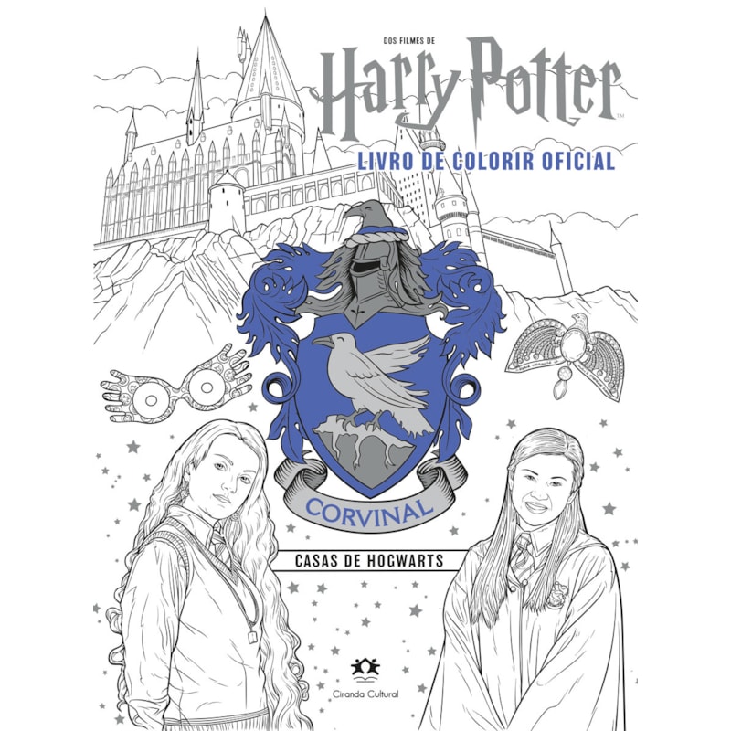 HARRY POTTER CASAS DE HOGWARTS - CORVINAL