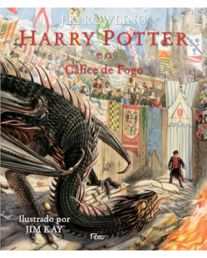HARRY POTTER E O CÁLICE DE FOGO