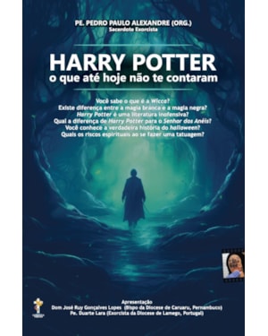 HARRY POTTER - O QUE ATÉ HOJE NÃO TE CONTARAM