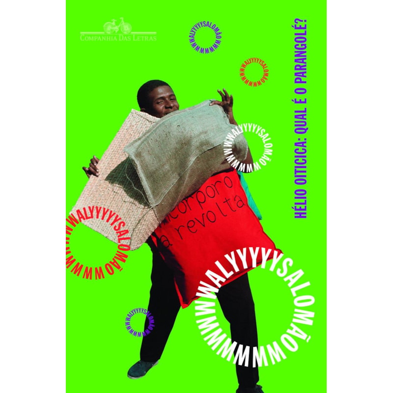 Hélio Oiticica: qual é o parangolé?