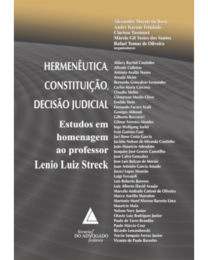 HERMENÊUTICA, CONSTITUIÇÃO, DECISÃO JUDICIAL