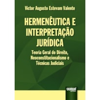 HERMENÊUTICA E INTERPRETAÇÃO JURÍDICA - TEORIA GERAL DO DIREITO, NEOCONSTITUCIONALISMO E TÉCNICAS JUDICIAIS