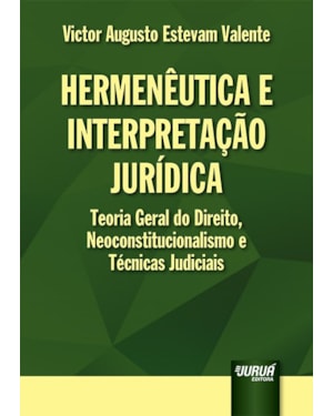 HERMENÊUTICA E INTERPRETAÇÃO JURÍDICA - TEORIA GERAL DO DIREITO, NEOCONSTITUCIONALISMO E TÉCNICAS JUDICIAIS