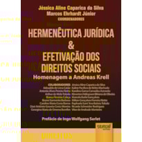HERMENÊUTICA JURÍDICA & EFETIVAÇÃO DOS DIREITOS SOCIAIS - HOMENAGEM A ANDREAS KRELL