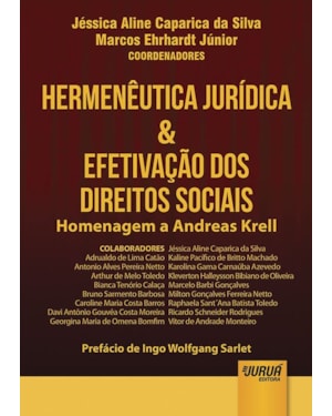 HERMENÊUTICA JURÍDICA & EFETIVAÇÃO DOS DIREITOS SOCIAIS - HOMENAGEM A ANDREAS KRELL