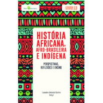 História africana, afro-brasileira e indígena: perspectivas, reflexões e ensino