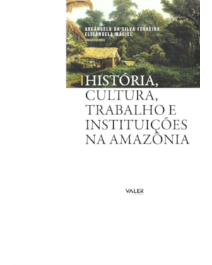 HISTÓRIA, CULTURA, TRABALHO E INSTITUIÇÕES NA AMAZÔNIA