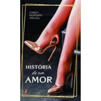 História de um amor: romance