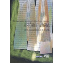 História e imagens: textos visuais e práticas de leituras