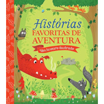 HISTÓRIAS FAVORITAS DE AVENTURA : UM TESOURO ILUSTR