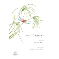 HOLOGRAMAS