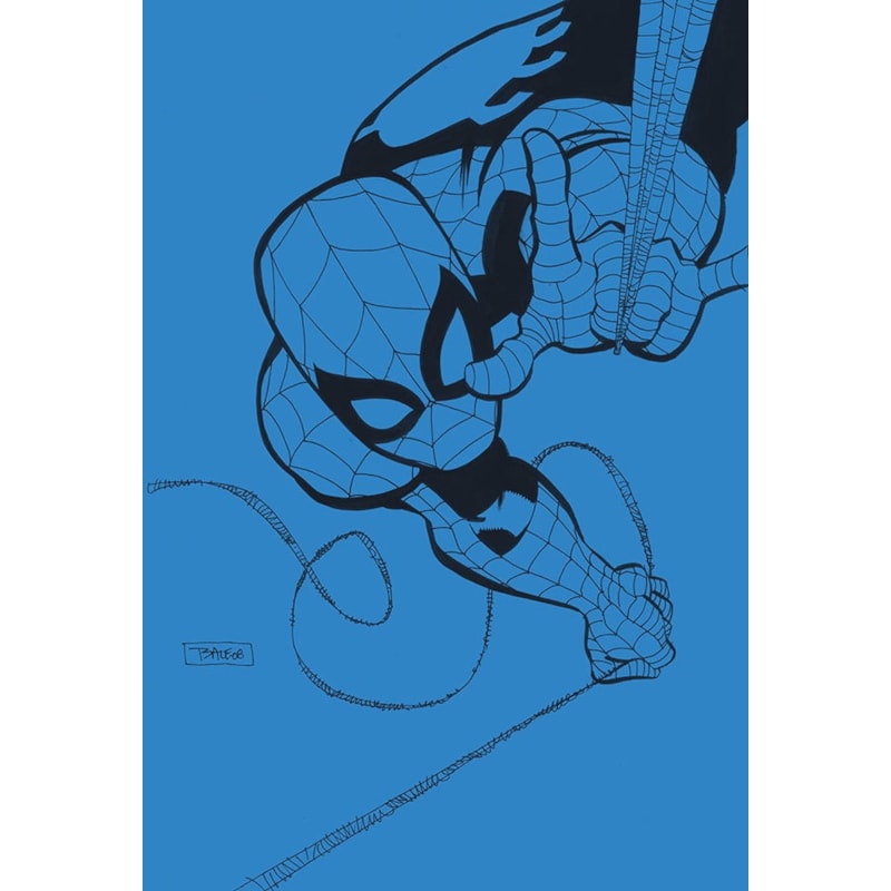 HOMEM-ARANHA: AZUL