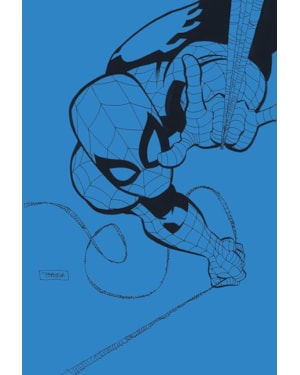 HOMEM-ARANHA: AZUL