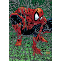 Homem-aranha: tormento (marvel essenciais)