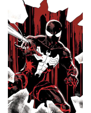 Homem-Aranha: Traje Preto e Sangue