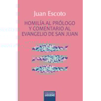 HOMILÍA AL PRÓLOGO Y COMENTARIO AL EVANGELIO DE SAN JUAN
