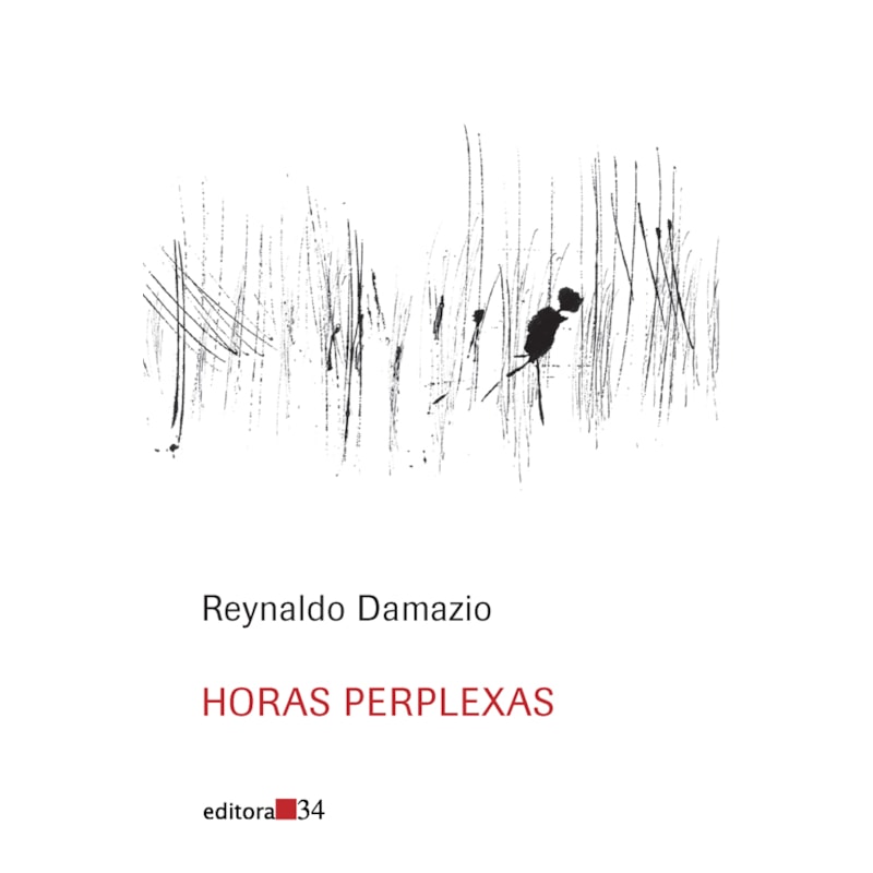 Horas perplexas
