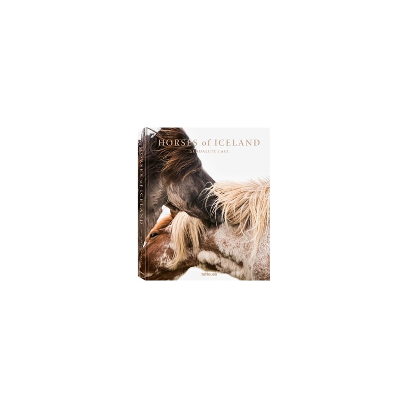 Horses of iceland