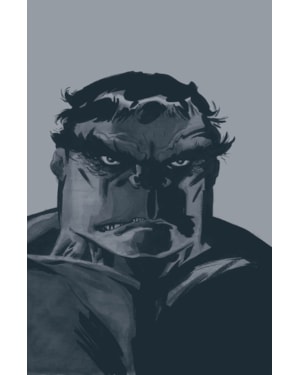 Hulk: cinza (marvel essenciais)