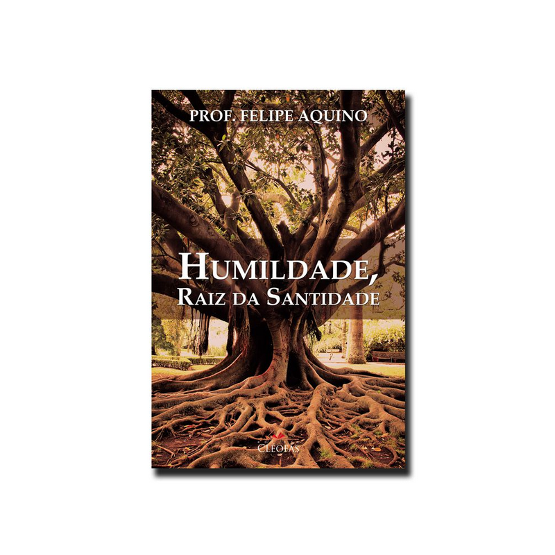 HUMILDADE, RAIZ DA SANTIDADE
