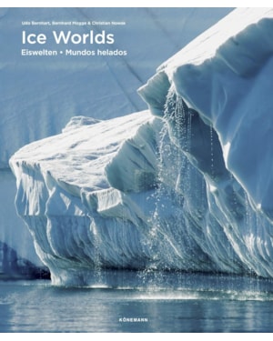 Ice worlds