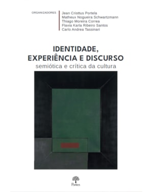 IDENTIDADE, EXPERIÊNCIA E DISCURSO