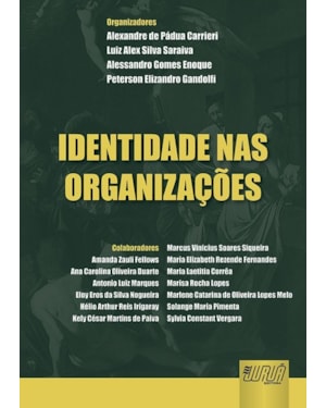 IDENTIDADE NAS ORGANIZAÇÕES