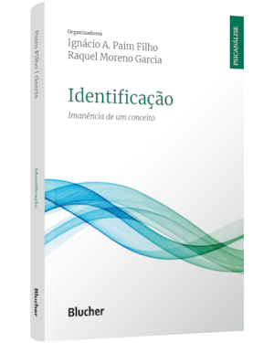 Identificação: imanência de um conceito