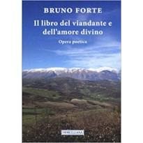 IL LIBRO DEL VIANDANTE E DELL AMORE DIVINO