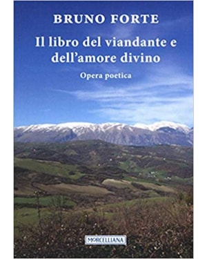 IL LIBRO DEL VIANDANTE E DELL AMORE DIVINO
