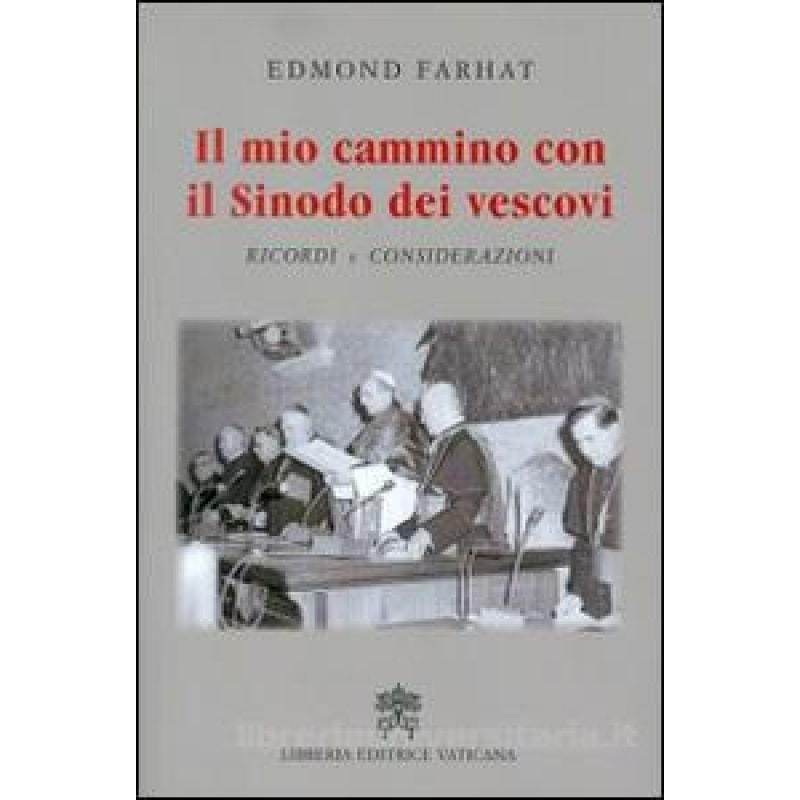 IL MIO CAMMINO CON IL SINODO DEI VESCOVI - RICORDI E CONSIDERAZIONI