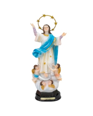 IMAGEM NOSSA SENHORA DA ASSUNÇÃO 20CM DE ALTURA